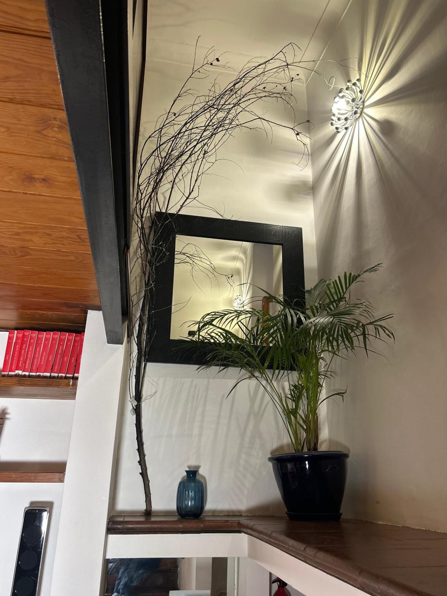 רומא Garden House Trastevere מראה חיצוני תמונה